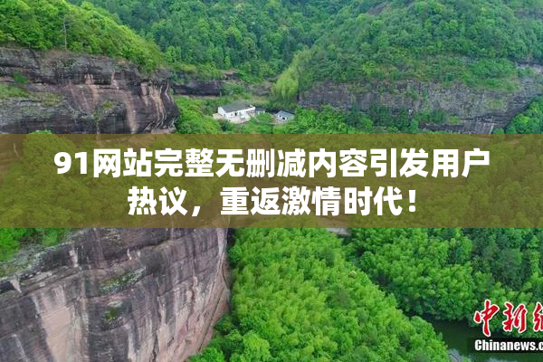 91网站完整无删减内容引发用户热议，重返激情时代！