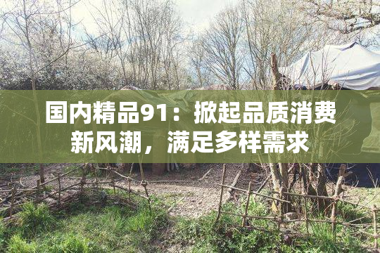 国内精品91：掀起品质消费新风潮，满足多样需求