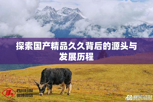 探索国产精品久久背后的源头与发展历程