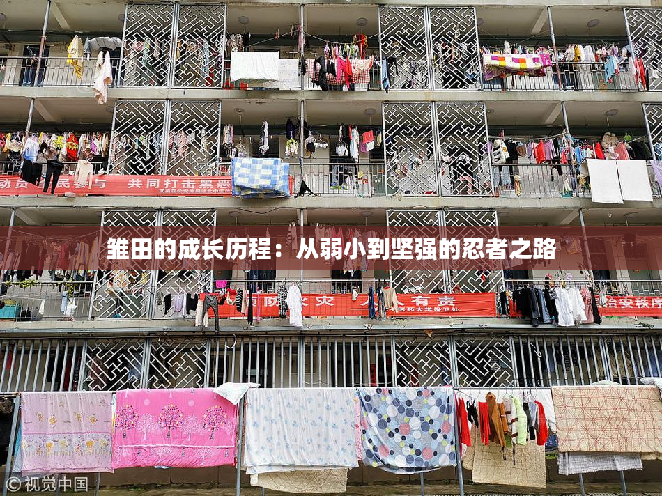 雏田的成长历程：从弱小到坚强的忍者之路
