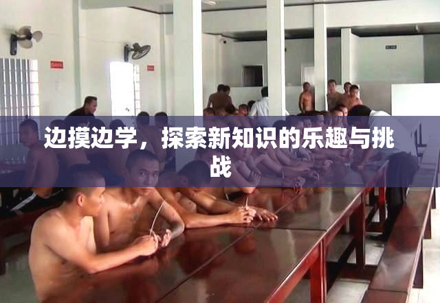 边摸边学，探索新知识的乐趣与挑战
