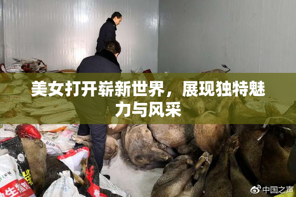 美女打开崭新世界，展现独特魅力与风采