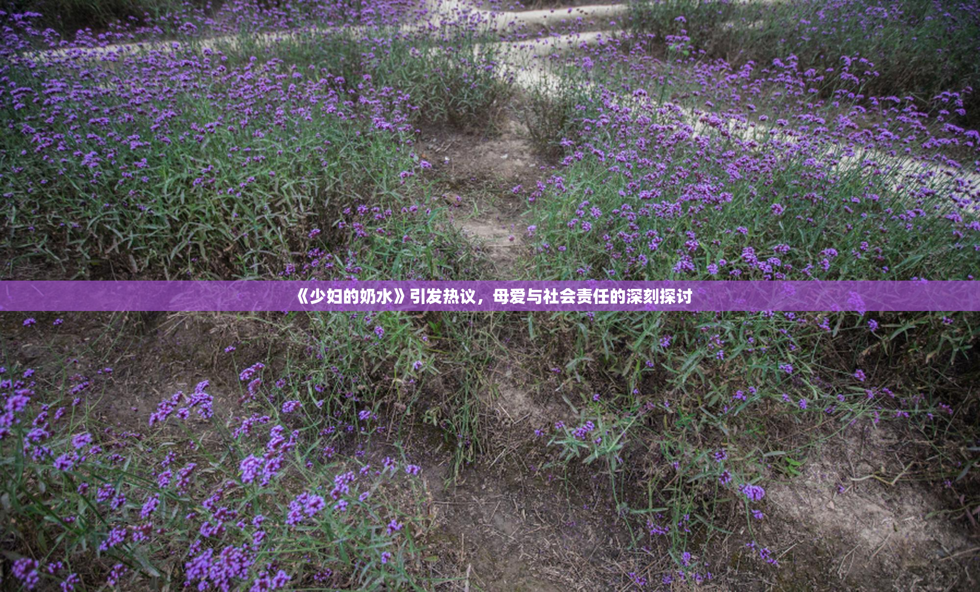《少妇的奶水》引发热议，母爱与社会责任的深刻探讨