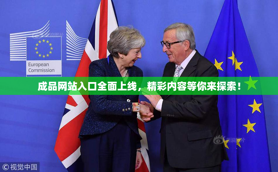 成品网站入口全面上线，精彩内容等你来探索！