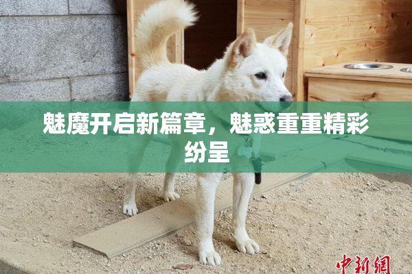 魅魔开启新篇章，魅惑重重精彩纷呈
