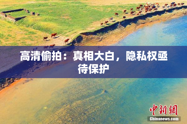 高清偷拍：真相大白，隐私权亟待保护