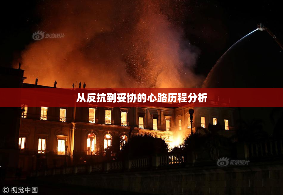 从反抗到妥协的心路历程分析
