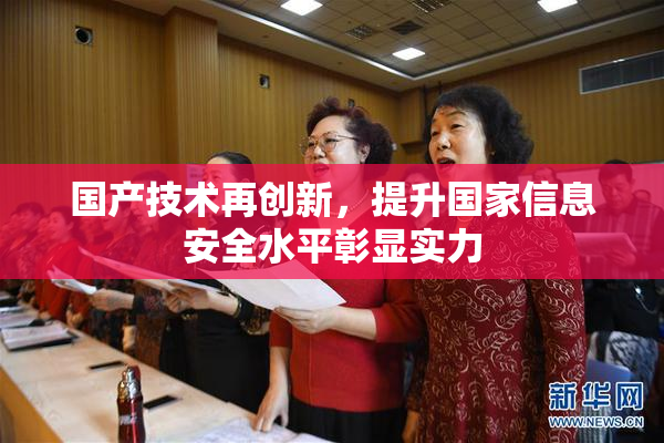 国产技术再创新，提升国家信息安全水平彰显实力
