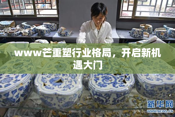 www芒重塑行业格局，开启新机遇大门