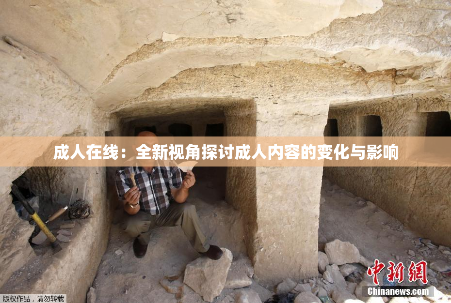 成人在线：全新视角探讨成人内容的变化与影响