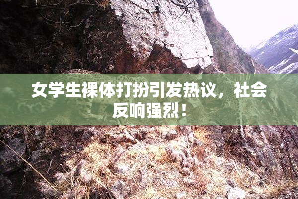 女学生裸体打扮引发热议，社会反响强烈！