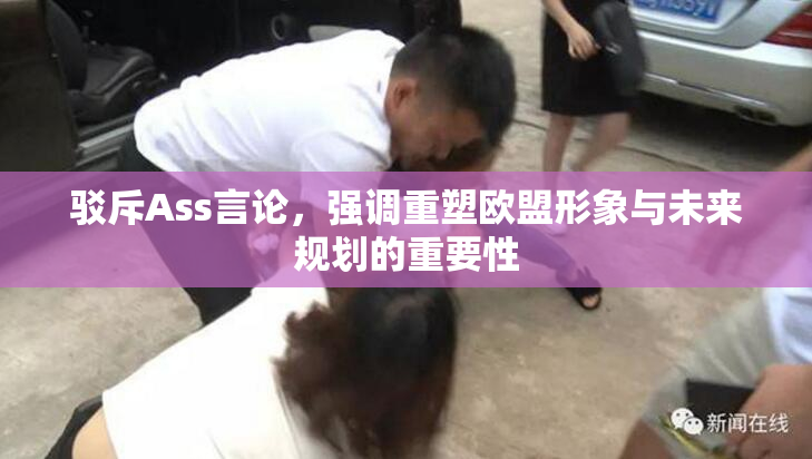 驳斥Ass言论，强调重塑欧盟形象与未来规划的重要性
