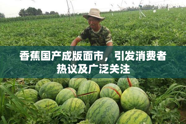 香蕉国产成版面市，引发消费者热议及广泛关注