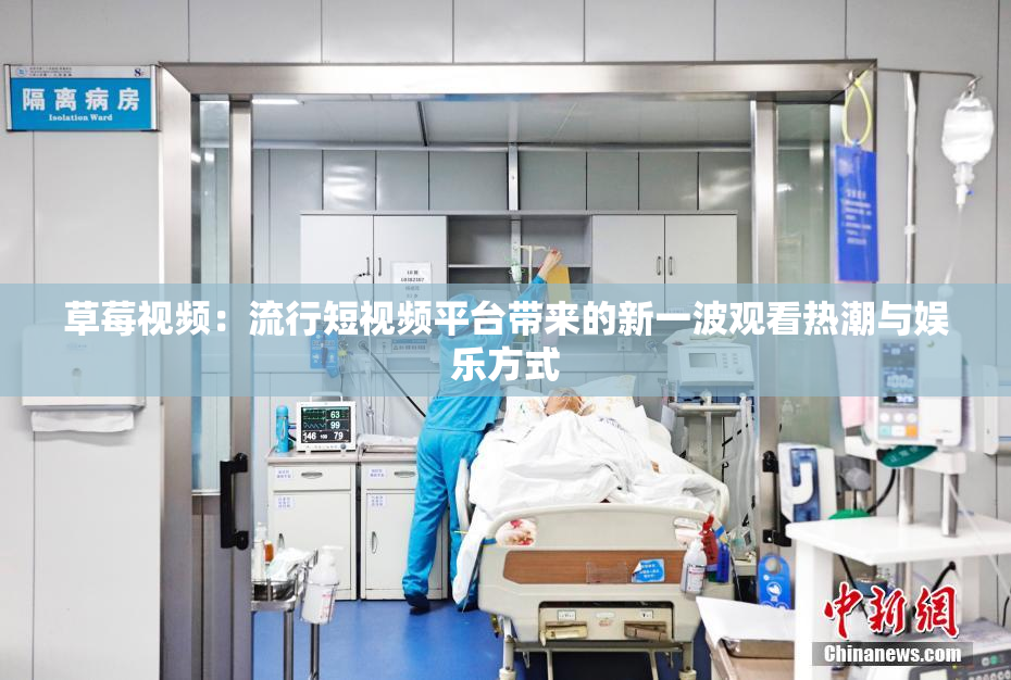 草莓视频：流行短视频平台带来的新一波观看热潮与娱乐方式