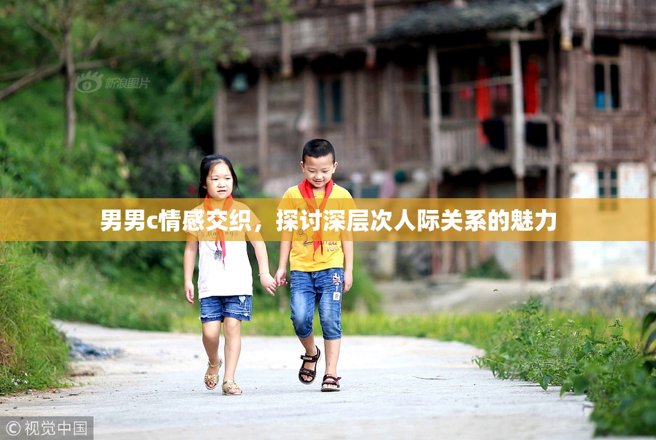 男男c情感交织，探讨深层次人际关系的魅力
