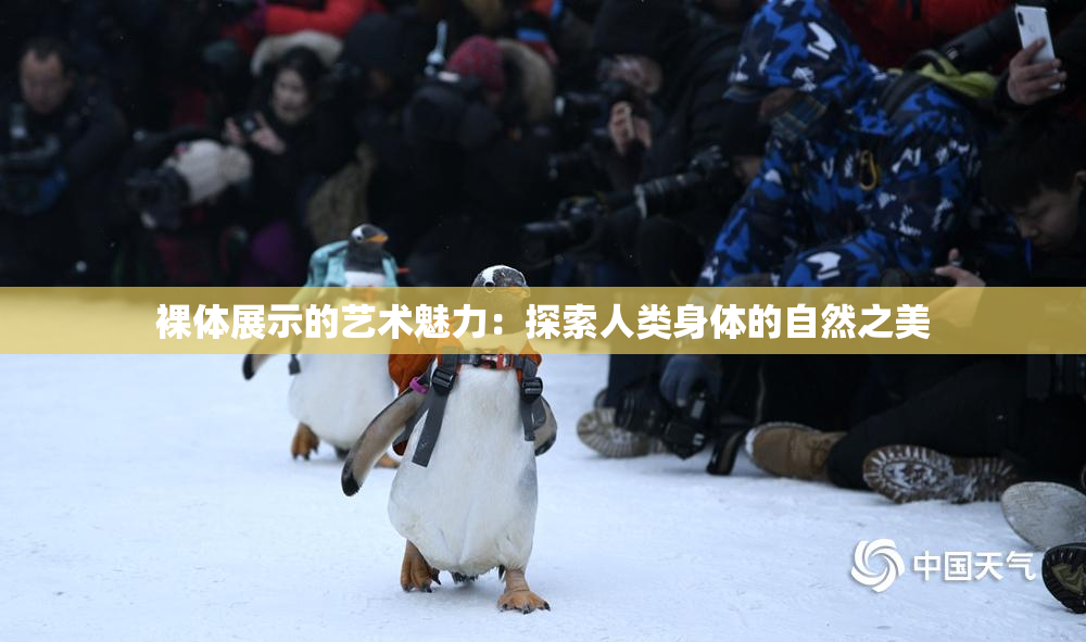 裸体展示的艺术魅力：探索人类身体的自然之美