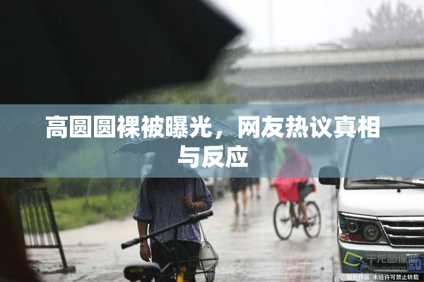 高圆圆裸被曝光，网友热议真相与反应