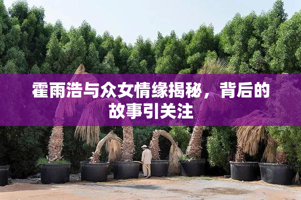 霍雨浩与众女情缘揭秘，背后的故事引关注