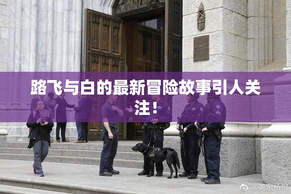 路飞与白的最新冒险故事引人关注！