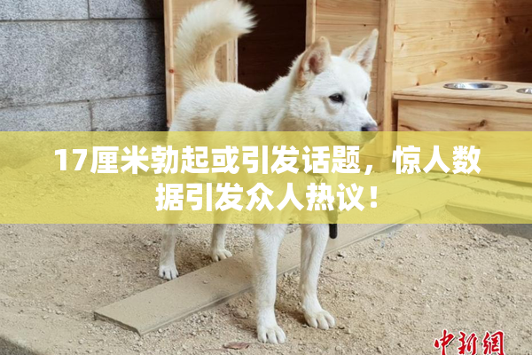 17厘米勃起或引发话题，惊人数据引发众人热议！
