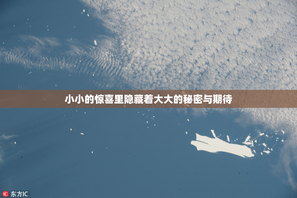 小小的惊喜里隐藏着大大的秘密与期待