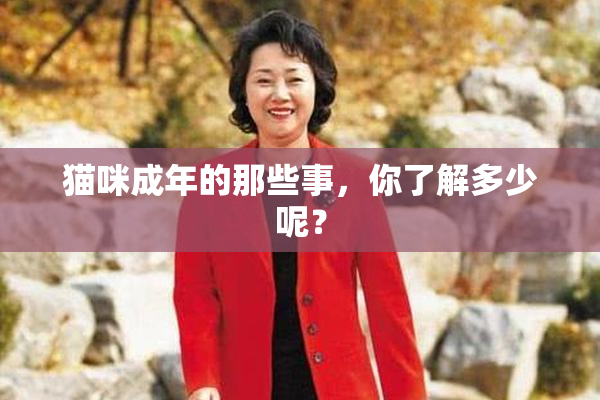 猫咪成年的那些事，你了解多少呢？