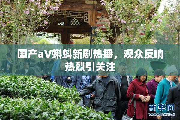国产aV蝌蚪新剧热播，观众反响热烈引关注