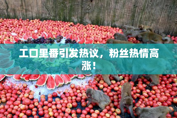 工口里番引发热议，粉丝热情高涨！