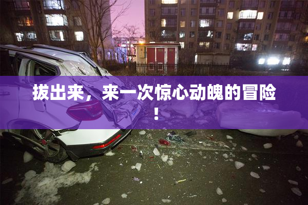 拔出来，来一次惊心动魄的冒险！