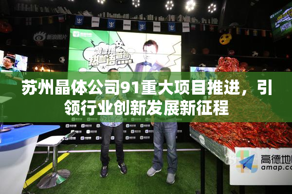 苏州晶体公司91重大项目推进，引领行业创新发展新征程