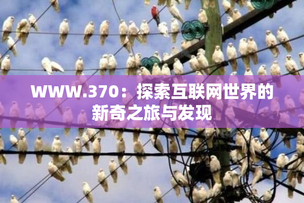 WWW.370：探索互联网世界的新奇之旅与发现