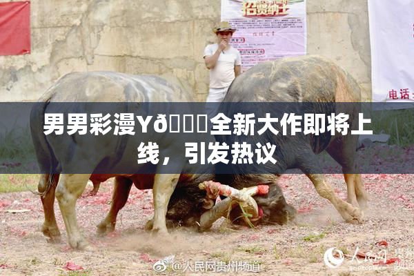 男男彩漫Y🈚全新大作即将上线，引发热议