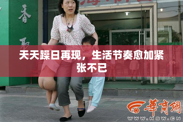 天天躁日再现，生活节奏愈加紧张不已