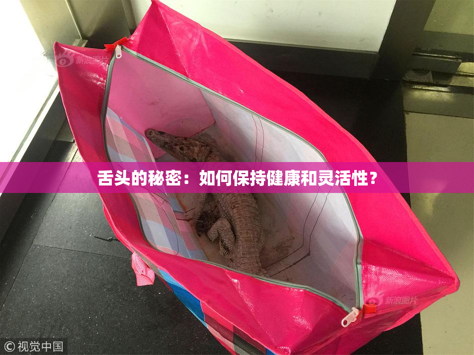 舌头的秘密：如何保持健康和灵活性？
