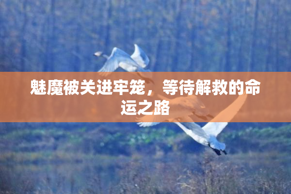 魅魔被关进牢笼，等待解救的命运之路