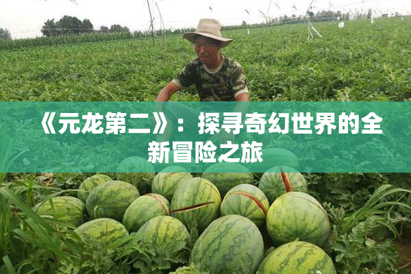 《元龙第二》：探寻奇幻世界的全新冒险之旅
