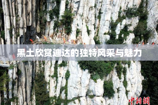黑土欣赏迪达的独特风采与魅力