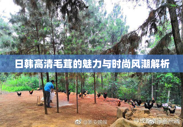 日韩高清毛茸的魅力与时尚风潮解析