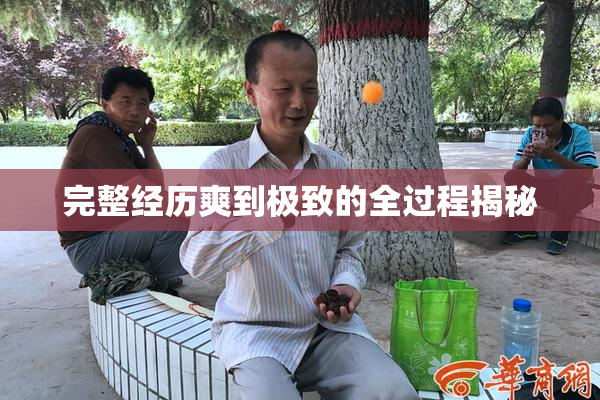 完整经历爽到极致的全过程揭秘