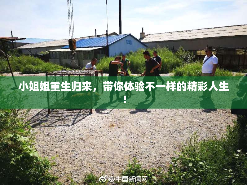 小姐姐重生归来，带你体验不一样的精彩人生！