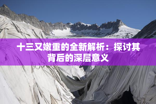 十三又嫩重的全新解析：探讨其背后的深层意义