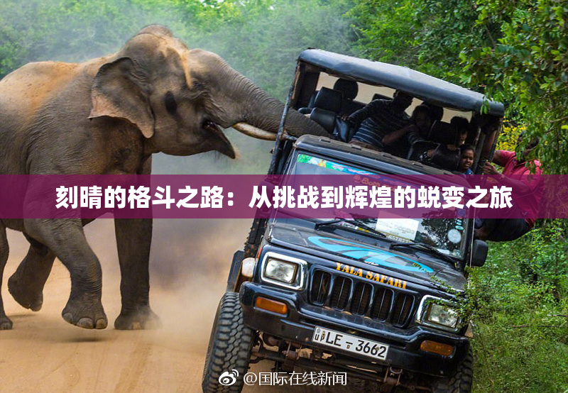 刻晴的格斗之路：从挑战到辉煌的蜕变之旅