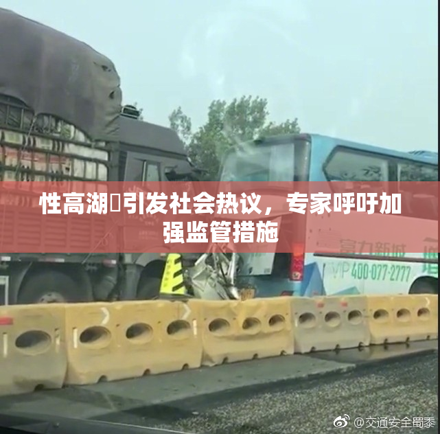 性高湖婬引发社会热议，专家呼吁加强监管措施