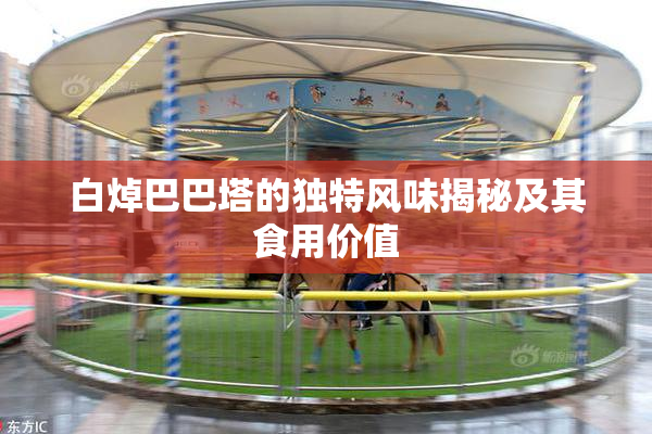 白焯巴巴塔的独特风味揭秘及其食用价值