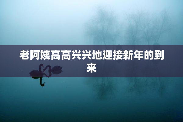 老阿姨高高兴兴地迎接新年的到来
