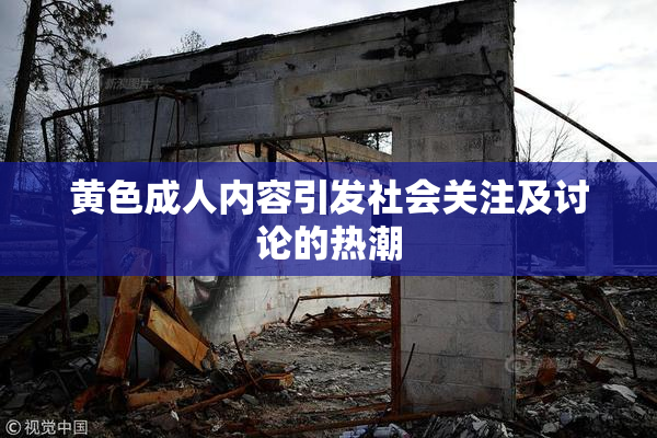 黄色成人内容引发社会关注及讨论的热潮