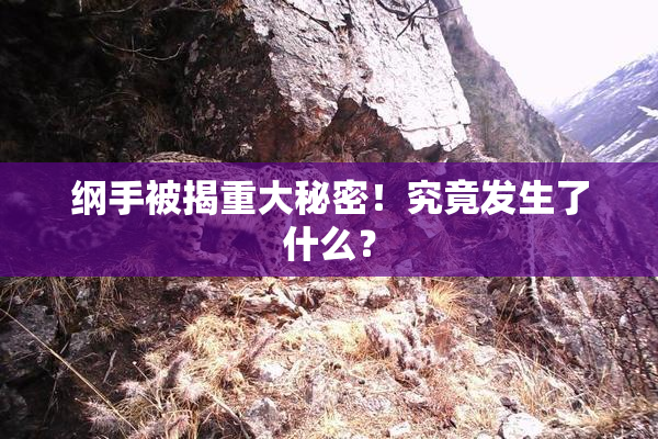 纲手被揭重大秘密！究竟发生了什么？