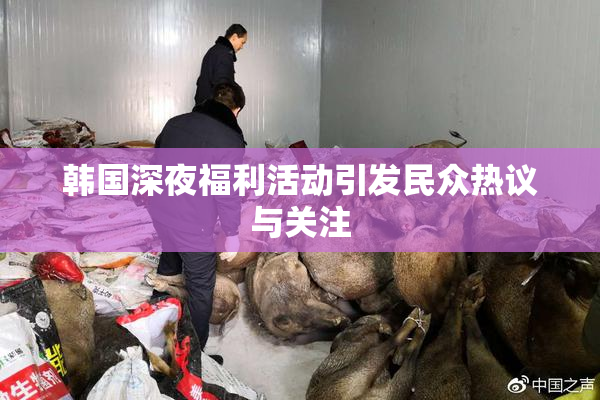 韩国深夜福利活动引发民众热议与关注