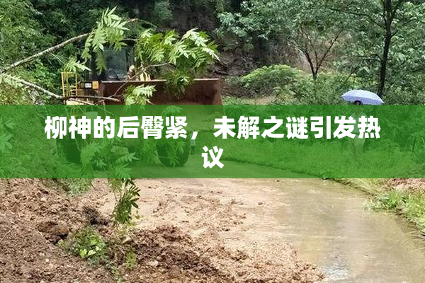柳神的后臀紧，未解之谜引发热议