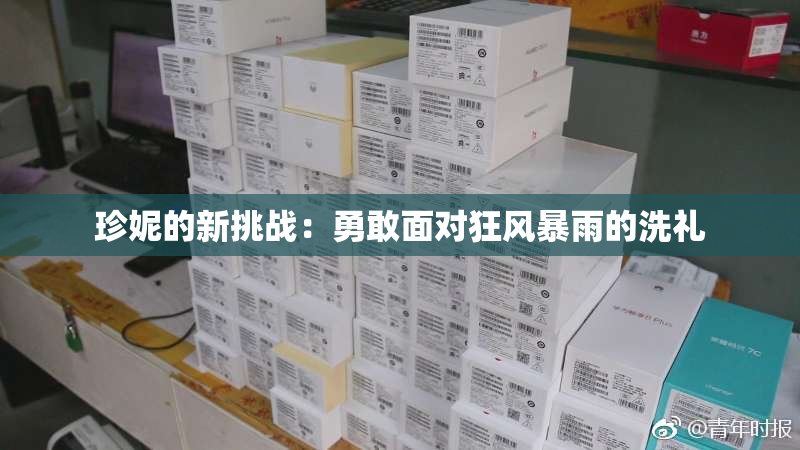 珍妮的新挑战：勇敢面对狂风暴雨的洗礼